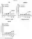 Fig. 24 - Antibody binding specifically to ECL-2 of claudin 3, fragment thereof, and use thereof