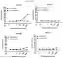 Fig. 25 - Antibody binding specifically to ECL-2 of claudin 3, fragment thereof, and use thereof