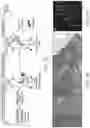 Fig. 02 - METHODS OF MAKING IMPROVED HUMAN INTESTINAL ORGANOID COMPOSITIONS VIA APPLICATION OF STRAIN AND HUMAN INTESTINAL ORGANOID COMPOSITIONS THEREOF