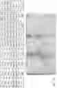 Fig. 45 - METHODS OF MAKING IMPROVED HUMAN INTESTINAL ORGANOID COMPOSITIONS VIA APPLICATION OF STRAIN AND HUMAN INTESTINAL ORGANOID COMPOSITIONS THEREOF