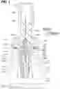 Fig. 02 - Pressure/temperature sensor with reduced pressure loss
