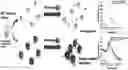 Fig. 01 - METHOD FOR MEASURING FIBRINOGEN CONCENTRATION IN BLOOD SAMPLE AND NANOPARTICLES FOR SAME