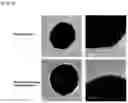 Fig. 03 - METHOD FOR MEASURING FIBRINOGEN CONCENTRATION IN BLOOD SAMPLE AND NANOPARTICLES FOR SAME