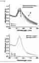 Fig. 06 - METHOD FOR MEASURING FIBRINOGEN CONCENTRATION IN BLOOD SAMPLE AND NANOPARTICLES FOR SAME