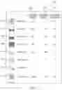 Fig. 08 - SYSTEMS AND METHODS FOR SELECTING CONTENT ITEMS TO STORE AND PRESENT LOCALLY ON A USER DEVICE