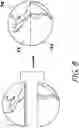 Fig. 09 - Topographical Globe and Its Associated Method of Manufacture