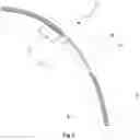 Fig. 05 - Vehicle bodywork display screen