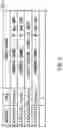 Fig. 04 - APPARATUS, METHOD, AND RECORDING MEDIUM