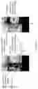 Fig. 09 - Preview-image display method and terminal device