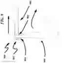 Fig. 10 - PHYSICAL THERAPY DEVICE AND METHOD FOR STRETCHING MUSCLES IN THE FOOT