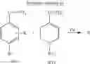 Fig. 09 - SELECTIVE NR2B ANTAGONISTS