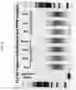 Fig. 07 - Multiplex targeted amplification using flap nuclease