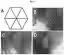 Fig. 07 - Engineered Tissues for in vitro Research Uses, Arrays Thereof, and Methods of Making the Same