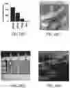 Fig. 40 - NANODIAMOND PARTICLES AND RELATED DEVICES AND METHODS