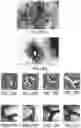 Fig. 41 - NANODIAMOND PARTICLES AND RELATED DEVICES AND METHODS