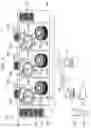 Fig. 02 - Automated analysis system