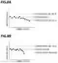 Fig. 08 - Failure detection system and failure detection method