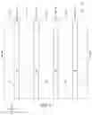 Fig. 06 - Integrated assemblies, and methods of forming integrated assemblies