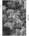 Fig. 49 - Protective carbon layer for lithium (Li) metal anodes