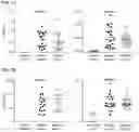 Fig. 02 - Methods for diagnosing malaria