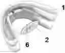 Fig. 01 - BUCCAL VALVE