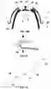 Fig. 18 - BUCCAL VALVE