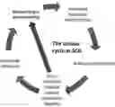 Fig. 01 - MICRO-ORGANISMAL PRODUCT AND METHOD FOR TREATING SICKLE CELL DISEASE