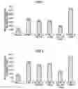 Fig. 02 - NEUTROPHIL ACTIVATION REGULATOR