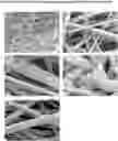 Fig. 01 - ELECTROSPUN MATRIX AND METHOD