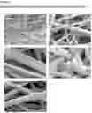 Fig. 02 - ELECTROSPUN MATRIX AND METHOD