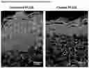 Fig. 04 - ELECTROSPUN MATRIX AND METHOD