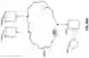 Fig. 84 - Systems and Methods for Using Transcutaneous Electrical Stimulation to Enable Dietary Interventions