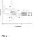 Fig. 09 - Guided coaching for vehicle positioning to operate an automated hitching feature