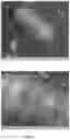 Fig. 02 - Single step process for the oxidation of cyclohexane