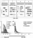 Fig. 37 - BACTERIAL DEFENSE SYSTEMS AND METHODS OF IDENTIFYING THEREOF