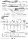 Fig. 39 - BACTERIAL DEFENSE SYSTEMS AND METHODS OF IDENTIFYING THEREOF