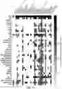 Fig. 43 - BACTERIAL DEFENSE SYSTEMS AND METHODS OF IDENTIFYING THEREOF