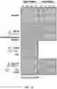Fig. 44 - BACTERIAL DEFENSE SYSTEMS AND METHODS OF IDENTIFYING THEREOF