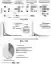 Fig. 45 - BACTERIAL DEFENSE SYSTEMS AND METHODS OF IDENTIFYING THEREOF