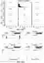 Fig. 55 - BACTERIAL DEFENSE SYSTEMS AND METHODS OF IDENTIFYING THEREOF