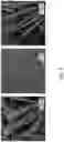 Fig. 09 - Single and multi-layer mesh structures for enhanced thermal transport