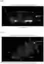 Fig. 02 - METHOD FOR MAKING BIOLOGICAL MATERIAL TRANSPARENT AND USE THEREOF