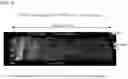 Fig. 04 - METHOD FOR MAKING BIOLOGICAL MATERIAL TRANSPARENT AND USE THEREOF