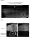 Fig. 07 - METHOD FOR MAKING BIOLOGICAL MATERIAL TRANSPARENT AND USE THEREOF