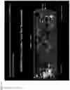 Fig. 09 - METHOD FOR MAKING BIOLOGICAL MATERIAL TRANSPARENT AND USE THEREOF