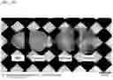 Fig. 12 - METHOD FOR MAKING BIOLOGICAL MATERIAL TRANSPARENT AND USE THEREOF
