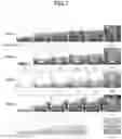 Fig. 08 - Non-destructive inspection method