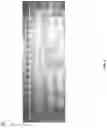 Fig. 07 - INTEGRATED SENSOR FOR THE RAPID IDENTIFICATION OF BACTERIA USING ISFETS