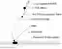 Fig. 01 - IMAGING ASSAYS