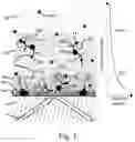 Fig. 02 - IMAGING ASSAYS